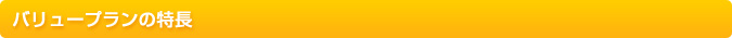 バリュープランコースの特長