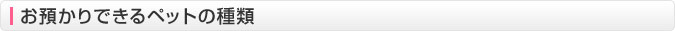 お預かりできるペットの種類